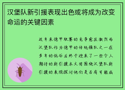 汉堡队新引援表现出色或将成为改变命运的关键因素
