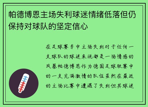 帕德博恩主场失利球迷情绪低落但仍保持对球队的坚定信心