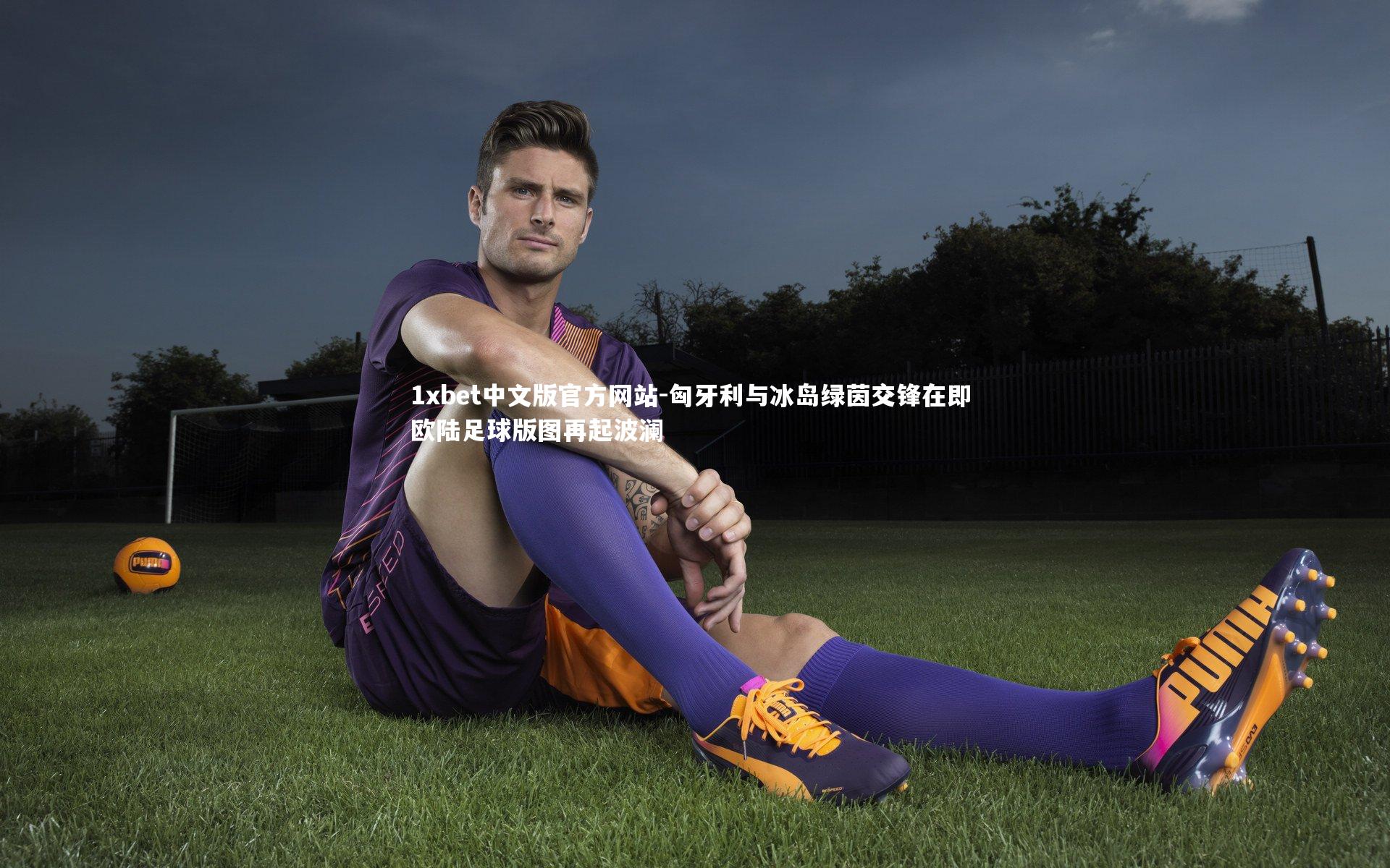 匈牙利与冰岛绿茵交锋在即 欧陆足球版图再起波澜